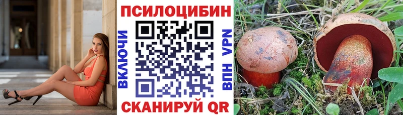 Псилоцибиновые грибы Magic Shrooms  Великий Устюг 